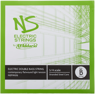 Daddario NSFW616 Electric Bass Low B