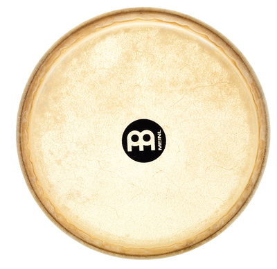 TS-B-54 12 1/2" Conga Head