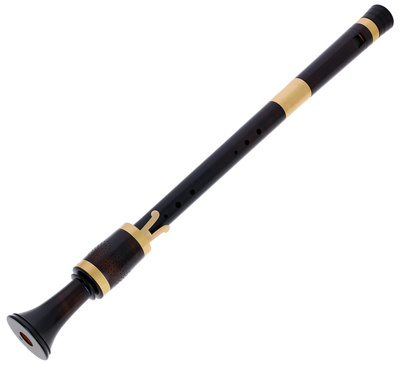8520 Renaissance Consort Bass