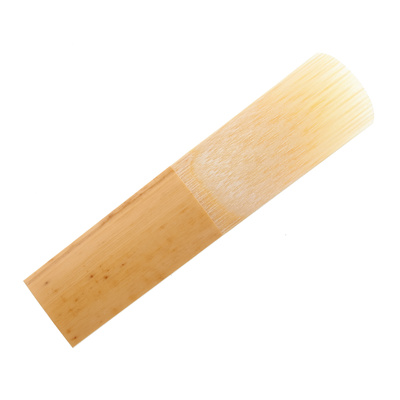 V12 Soprano Sax 3.0