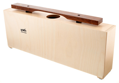 Resonator Model 10620 D