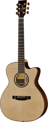 M-31 CP 2024