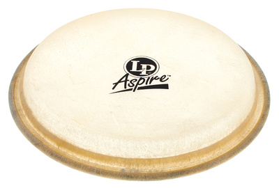 A663A Bongo Head Aspire 6 3/4"