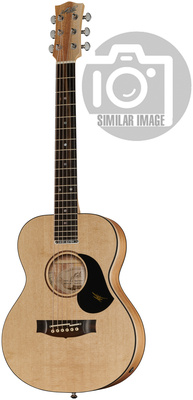 Maton Mini EM6 w/ Case