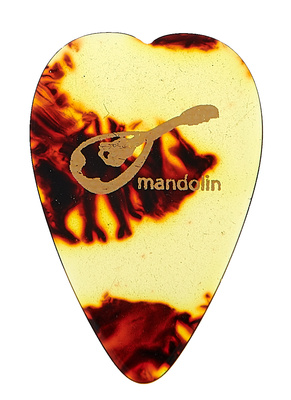 Mandolin Pick
