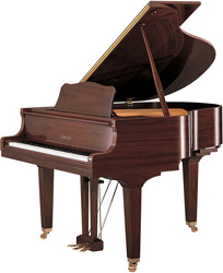 Yamaha GB1 K Walnut Polished