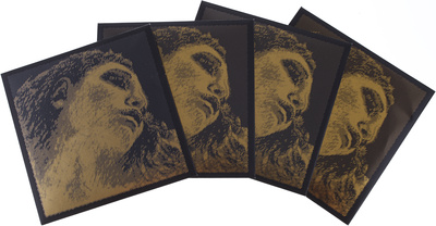 Evah Pirazzi Gold G-Gold LP