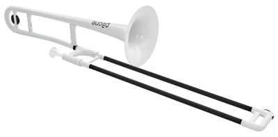 pBone White