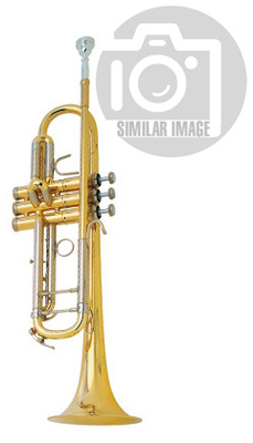 B&S 3137/2LR-S Challenger II S