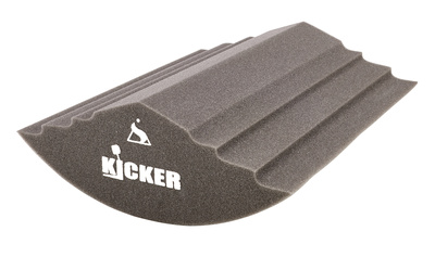 The Kicker 22"x17" BD Pillow