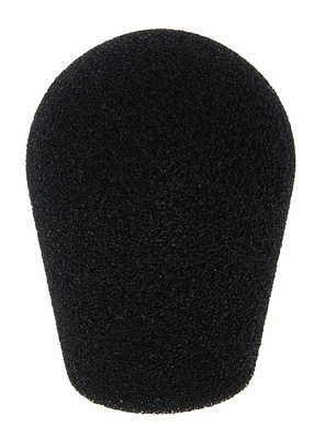 SD Systems Windshield