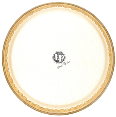 274A 11" Conga Head