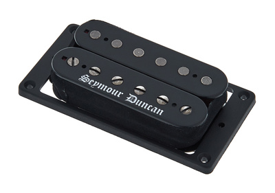 Black Winter Bridge Trem