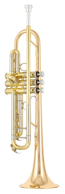 YTR-8335G 04 Trumpet