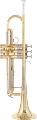 YTR-8335R 04 Trumpet