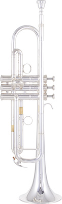 YTR-8335RS 04 Trumpet