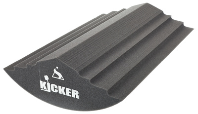 The Kicker 20"x20" BD Pillow