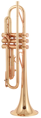 A9 Brass 050 Selected L CL
