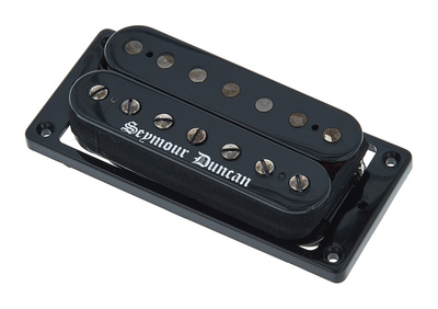 Black Winter 7-String Bridge