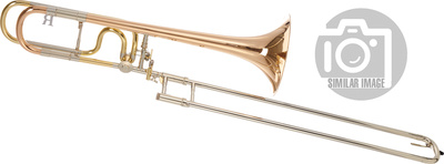 R4F Tenor Voigt