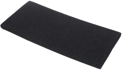 Buggie Cushion