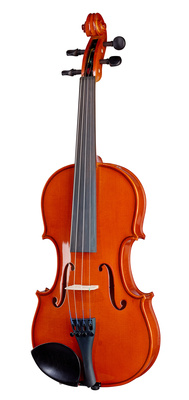 V3-SKA 3/4 Violinset