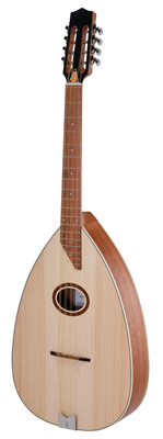 Algerian Mondol 8 Standard