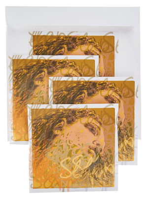 Evah Pirazzi Slap Strings Set