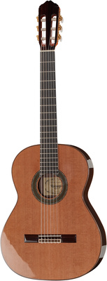 Raimundo 131-C profesor