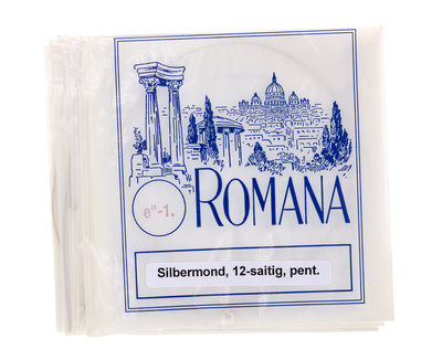 Silbermond Set of Strings PT