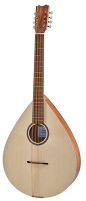 Mandoloncello Standard C