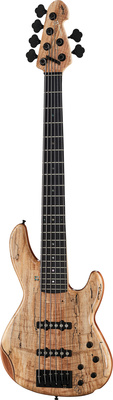 Sandberg Panther 6 TT spalted maple