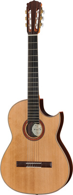 BasisCut PC + Pickup System