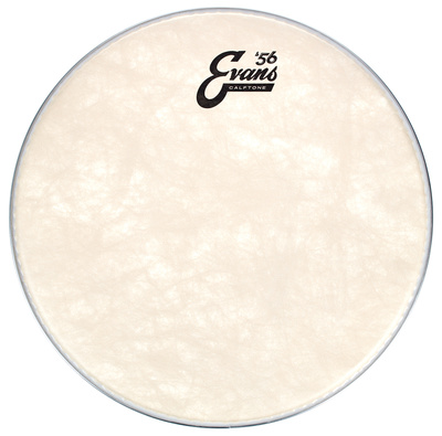 12" Calftone Tom