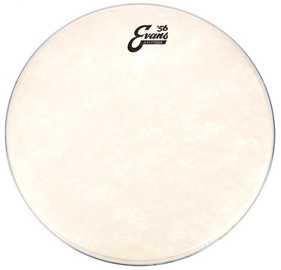 15" Calftone Tom