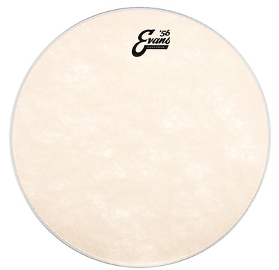 16" Calftone Tom