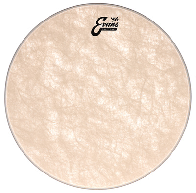 18" Calftone Tom