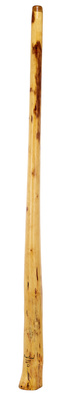 Didgeridoo Eucalyp. Proline D