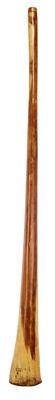 Didgeridoo Eucalyp. Proline E