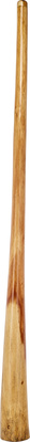 Didgeridoo Eucalyp. Pro XL D