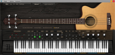 Ample Sound Ample Bass Acoustic III Download