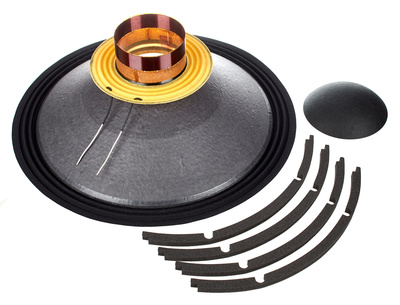 Eighteensound 18 LW2400, 8 Ohm Reconekit