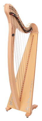 Salvi SALDON-DXAKP Donegal Nat. OL