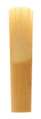 V21 Soprano Sax 3.0