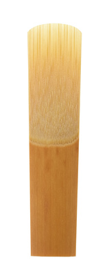V21 Soprano Sax 4.0