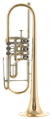 Venezia Trumpet Bb 11,05 Raw