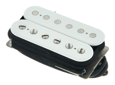 DP255W Transition Bridge