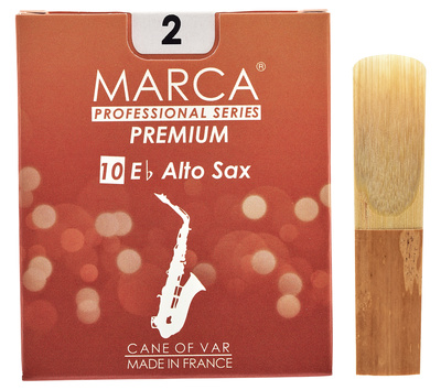 Premium Alto Saxophone 2.0