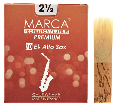 Premium Alto Saxophone 2.5