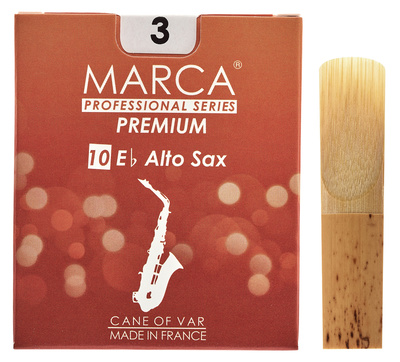 Premium Alto Saxophone 3.0